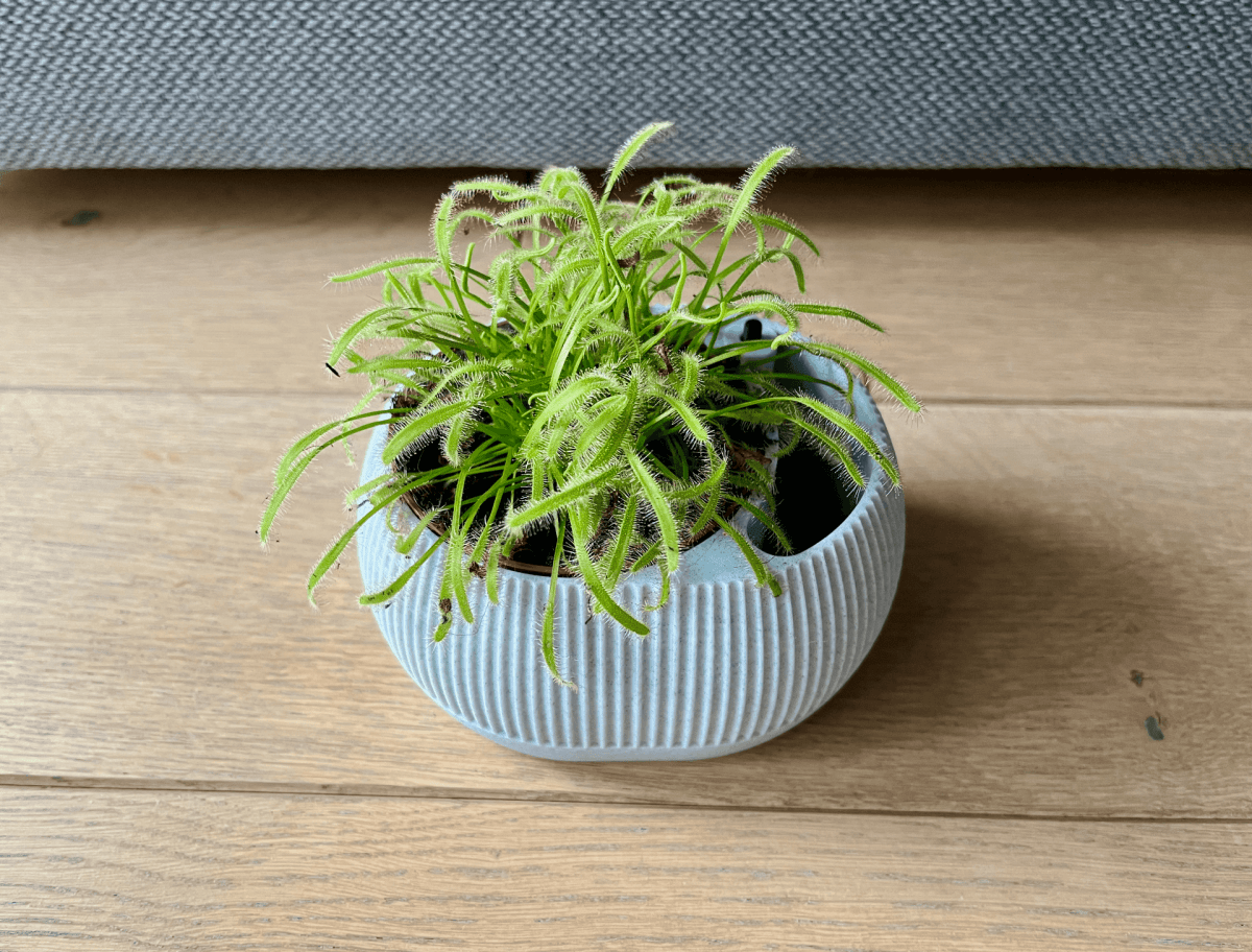 Vaso Autoirrigável com Nível de Água - Iris