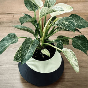 vaso de planta Pisa – autoirrigavel