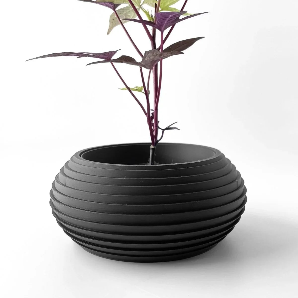 Vaso de Plantas Frons
