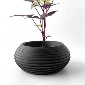 Vaso de Plantas Frons