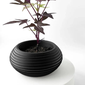 Vaso de Plantas Frons