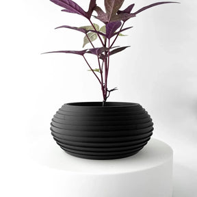 Vaso de Plantas Frons
